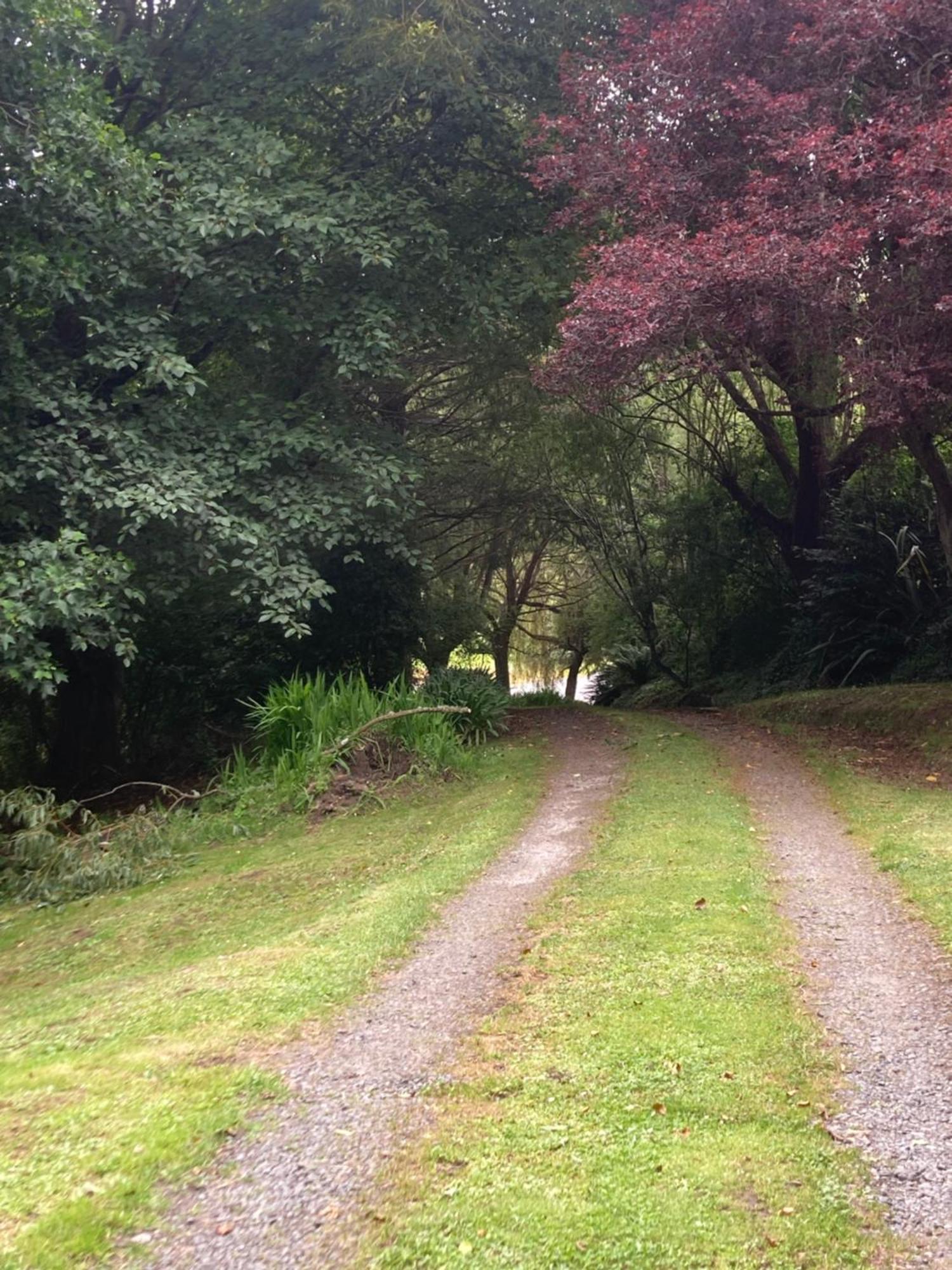 Arden Country House Bnb - Entire House To Yourself -Peace In The Country Dunedin Exterior photo